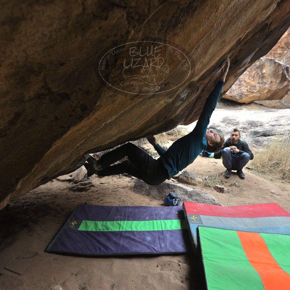 Filename: SRM_20221228_1112300.jpg
Aperture: f/4.5
Shutter Speed: 1/320
Body: Canon EOS R6
Lens: Canon EF 16-35mm f/2.8 L