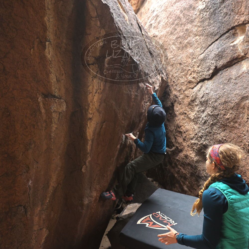 

Filename: SRM_20221228_1113110.jpg
Aperture: f/4.5
Shutter Speed: 1/320
Body: Canon EOS R6
Lens: Canon EF 16-35mm f/2.8 L