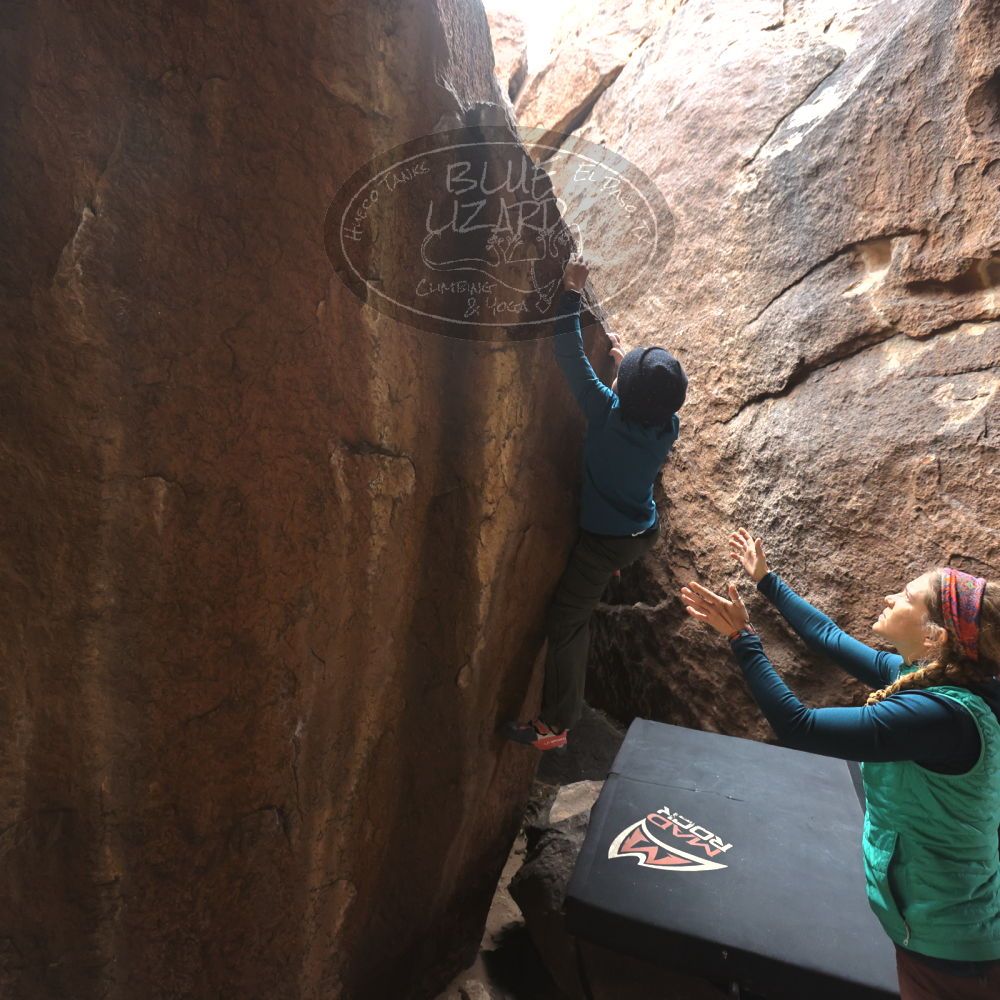 Filename: SRM_20221228_1113230.jpg
Aperture: f/4.5
Shutter Speed: 1/320
Body: Canon EOS R6
Lens: Canon EF 16-35mm f/2.8 L