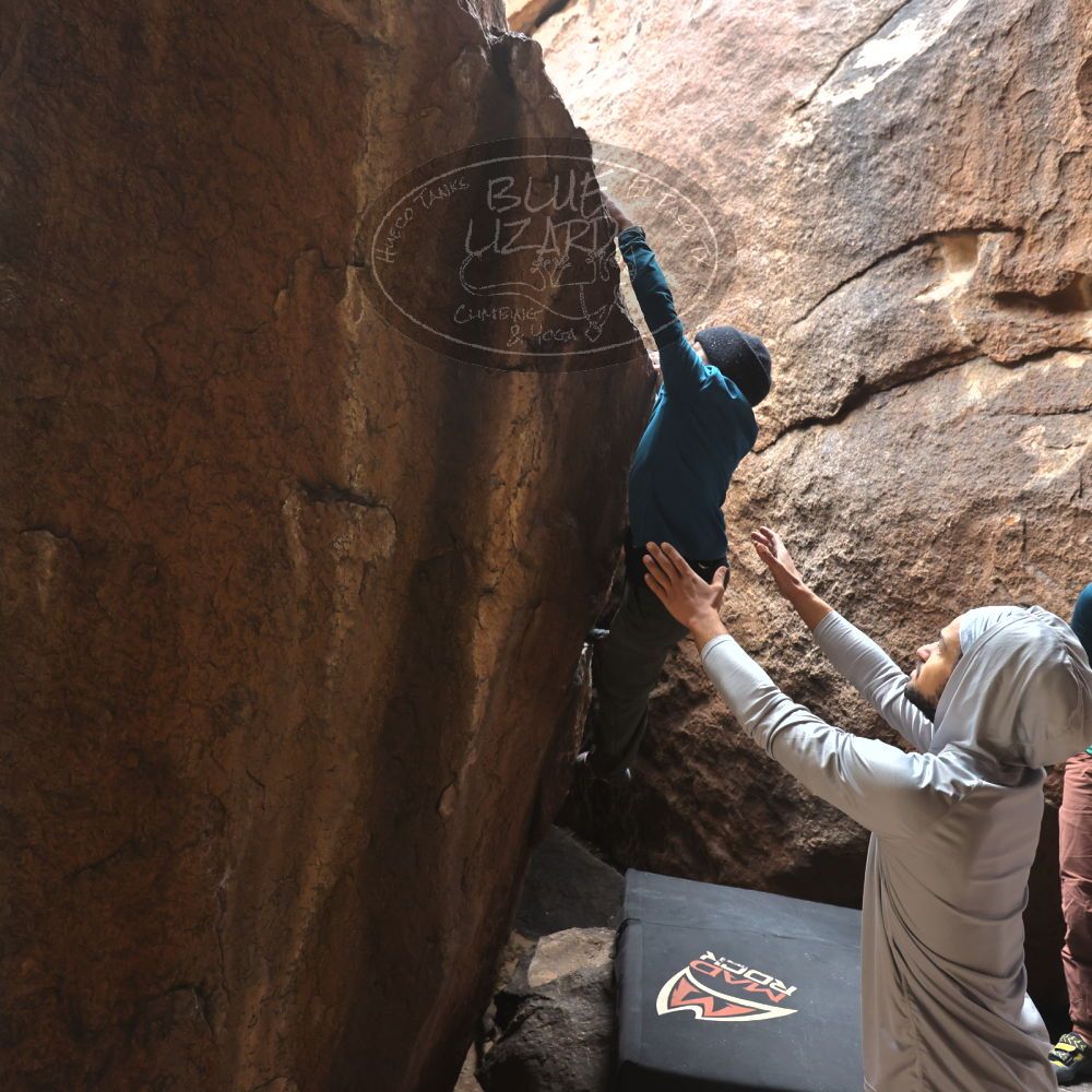 Filename: SRM_20221228_1117530.jpg
Aperture: f/4.5
Shutter Speed: 1/320
Body: Canon EOS R6
Lens: Canon EF 16-35mm f/2.8 L