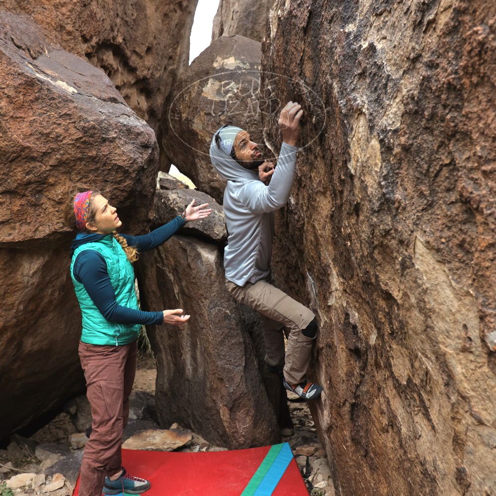 

Filename: SRM_20221228_1124460.jpg
Aperture: f/4.5
Shutter Speed: 1/320
Body: Canon EOS R6
Lens: Canon EF 16-35mm f/2.8 L