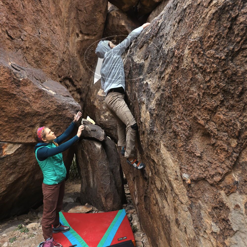 Filename: SRM_20221228_1125000.jpg
Aperture: f/4.5
Shutter Speed: 1/320
Body: Canon EOS R6
Lens: Canon EF 16-35mm f/2.8 L