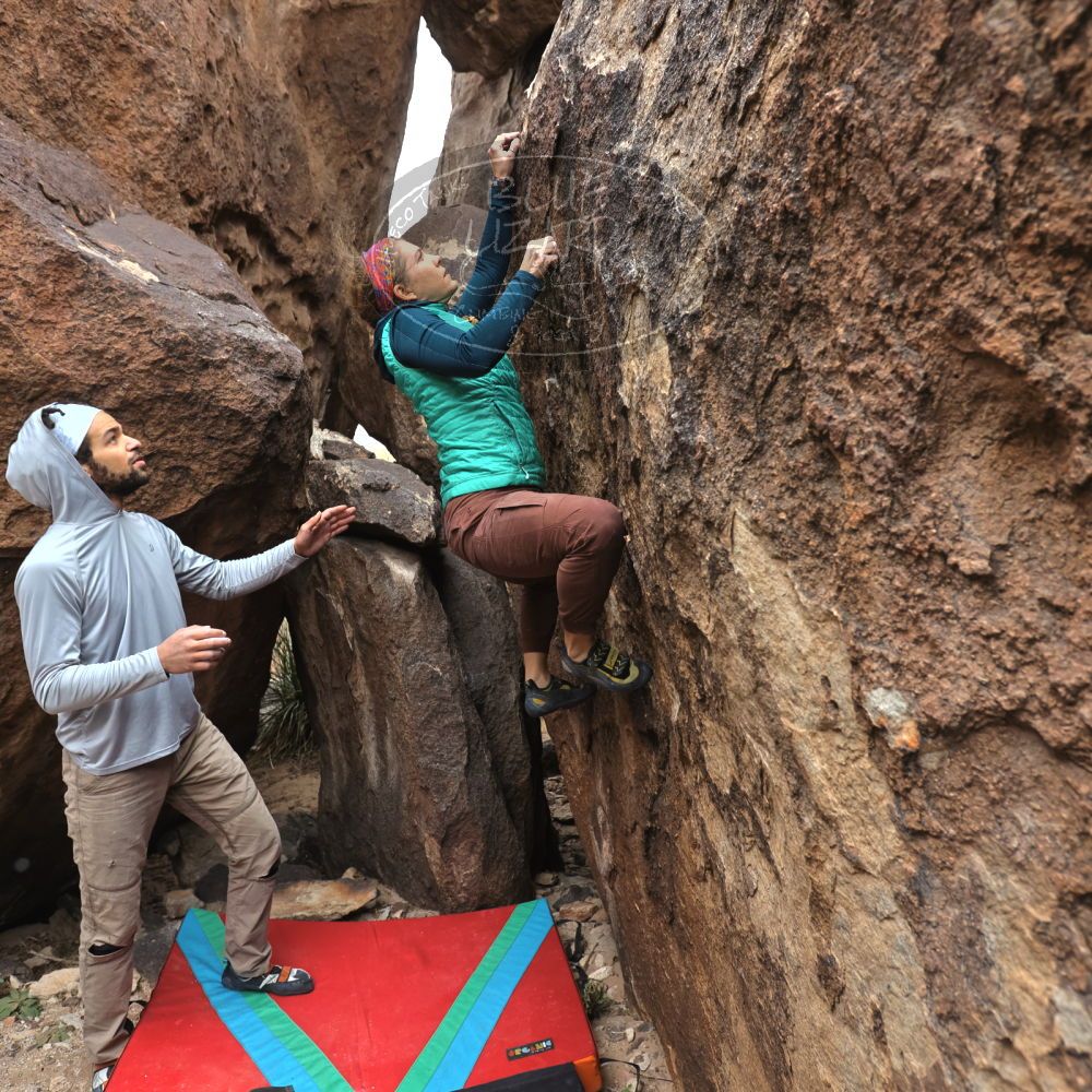 

Filename: SRM_20221228_1126390.jpg
Aperture: f/4.5
Shutter Speed: 1/320
Body: Canon EOS R6
Lens: Canon EF 16-35mm f/2.8 L