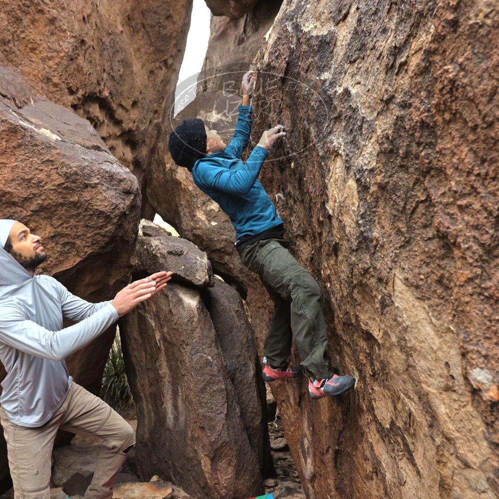 

Filename: SRM_20221228_1128530.jpg
Aperture: f/4.5
Shutter Speed: 1/320
Body: Canon EOS R6
Lens: Canon EF 16-35mm f/2.8 L