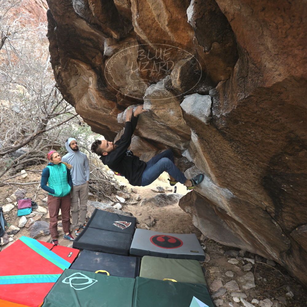 Filename: SRM_20221228_1135040.jpg
Aperture: f/4.5
Shutter Speed: 1/320
Body: Canon EOS R6
Lens: Canon EF 16-35mm f/2.8 L