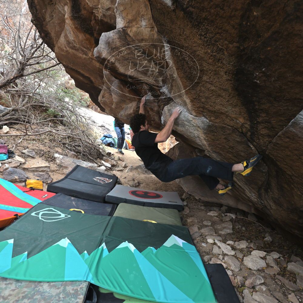 Filename: SRM_20221228_1136550.jpg
Aperture: f/4.5
Shutter Speed: 1/320
Body: Canon EOS R6
Lens: Canon EF 16-35mm f/2.8 L