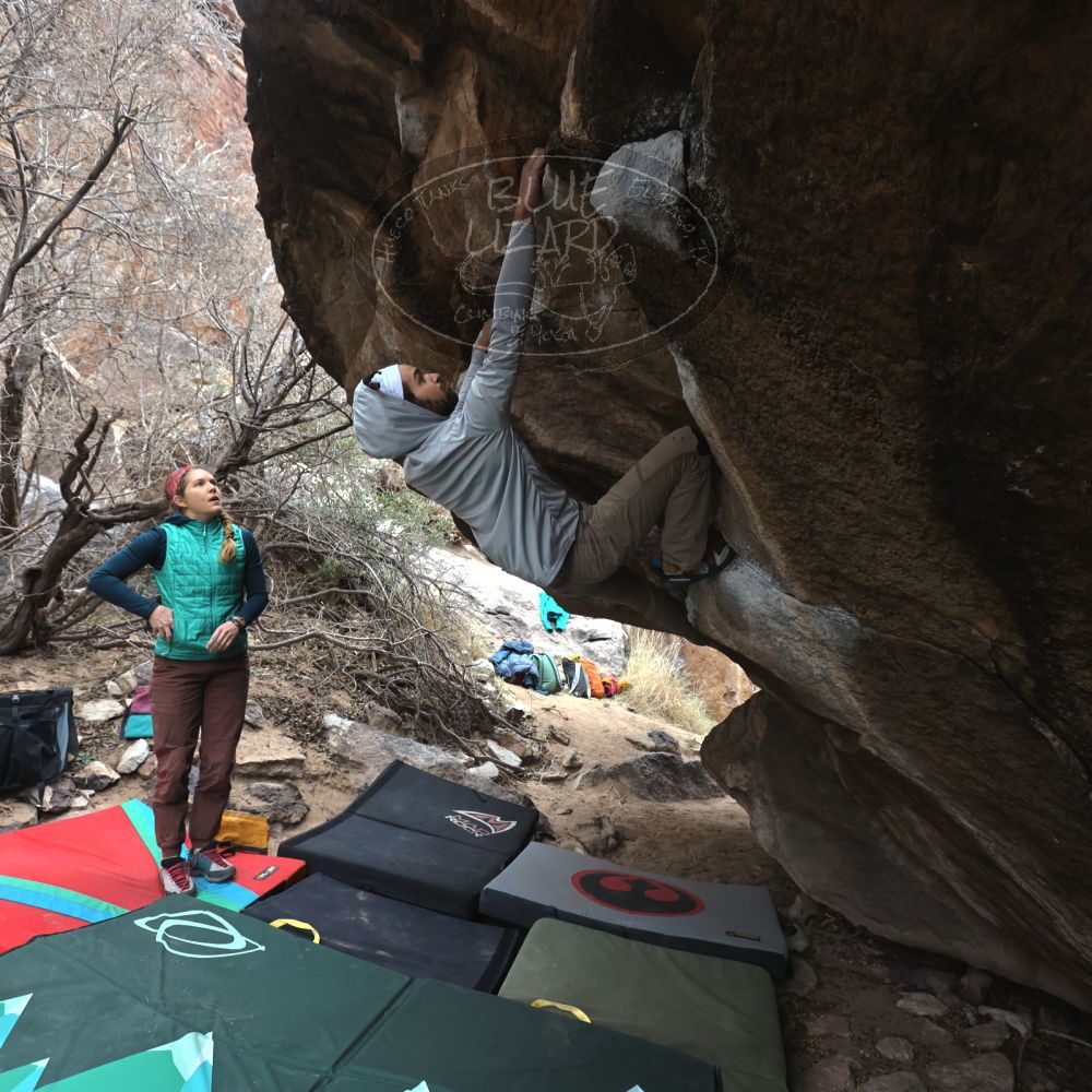 Filename: SRM_20221228_1138050.jpg
Aperture: f/4.5
Shutter Speed: 1/320
Body: Canon EOS R6
Lens: Canon EF 16-35mm f/2.8 L