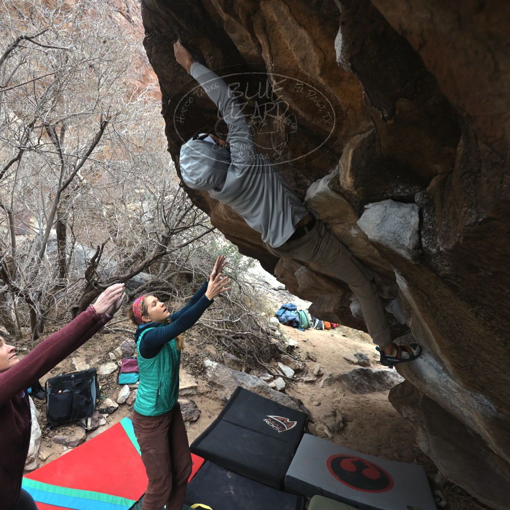 Filename: SRM_20221228_1138160.jpg
Aperture: f/4.5
Shutter Speed: 1/320
Body: Canon EOS R6
Lens: Canon EF 16-35mm f/2.8 L