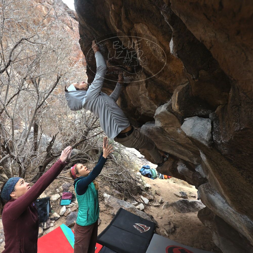 Filename: SRM_20221228_1138180.jpg
Aperture: f/4.5
Shutter Speed: 1/320
Body: Canon EOS R6
Lens: Canon EF 16-35mm f/2.8 L