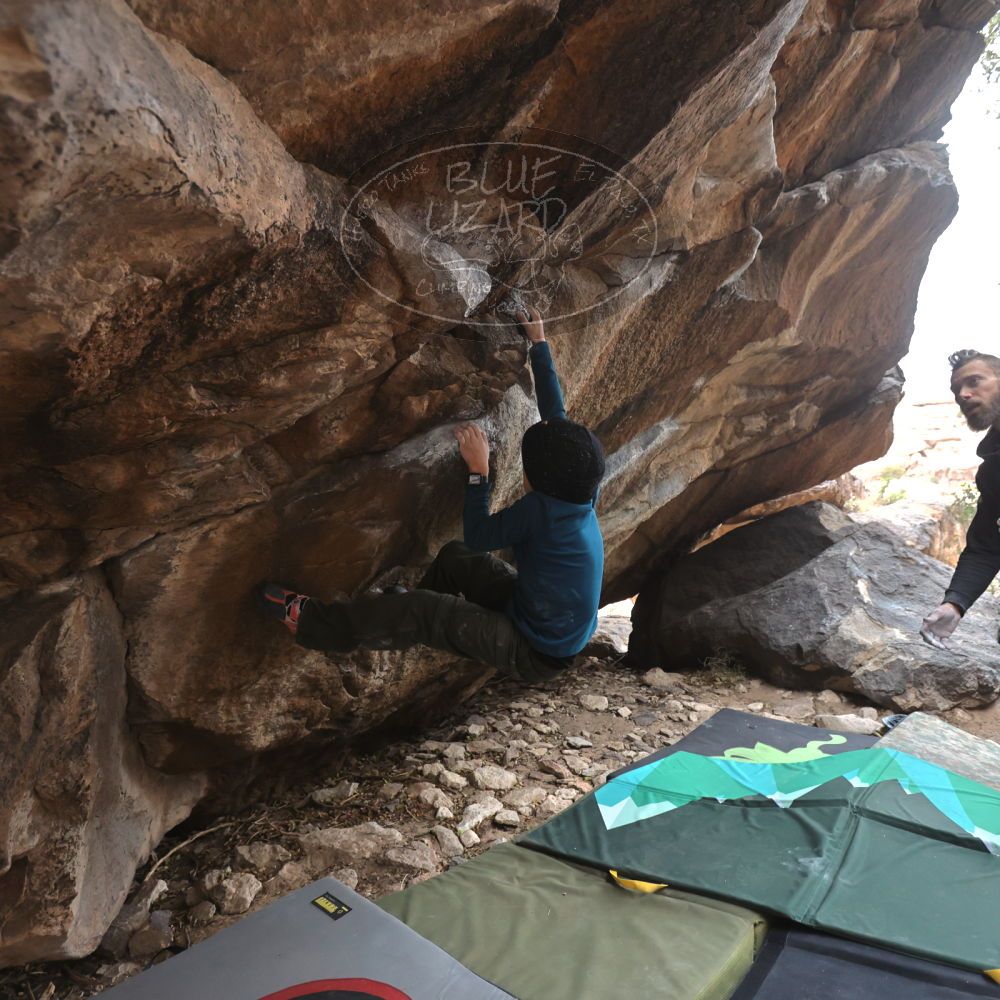 

Filename: SRM_20221228_1146210.jpg
Aperture: f/4.0
Shutter Speed: 1/320
Body: Canon EOS R6
Lens: Canon EF 16-35mm f/2.8 L