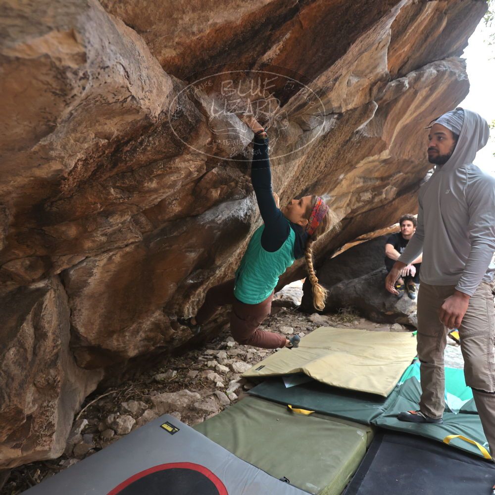 

Filename: SRM_20221228_1151560.jpg
Aperture: f/4.0
Shutter Speed: 1/320
Body: Canon EOS R6
Lens: Canon EF 16-35mm f/2.8 L