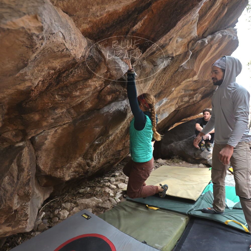 

Filename: SRM_20221228_1151561.jpg
Aperture: f/4.0
Shutter Speed: 1/320
Body: Canon EOS R6
Lens: Canon EF 16-35mm f/2.8 L