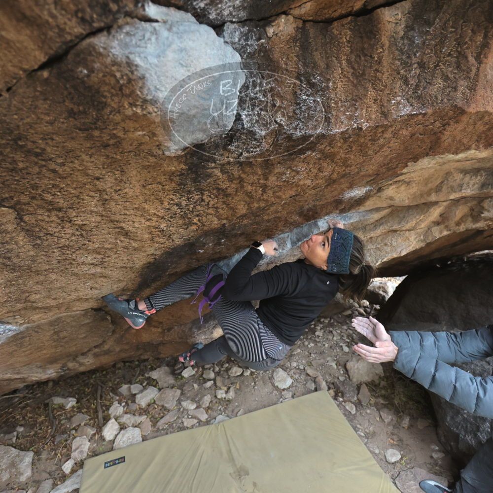 Filename: SRM_20221228_1156100.jpg
Aperture: f/4.0
Shutter Speed: 1/320
Body: Canon EOS R6
Lens: Canon EF 16-35mm f/2.8 L