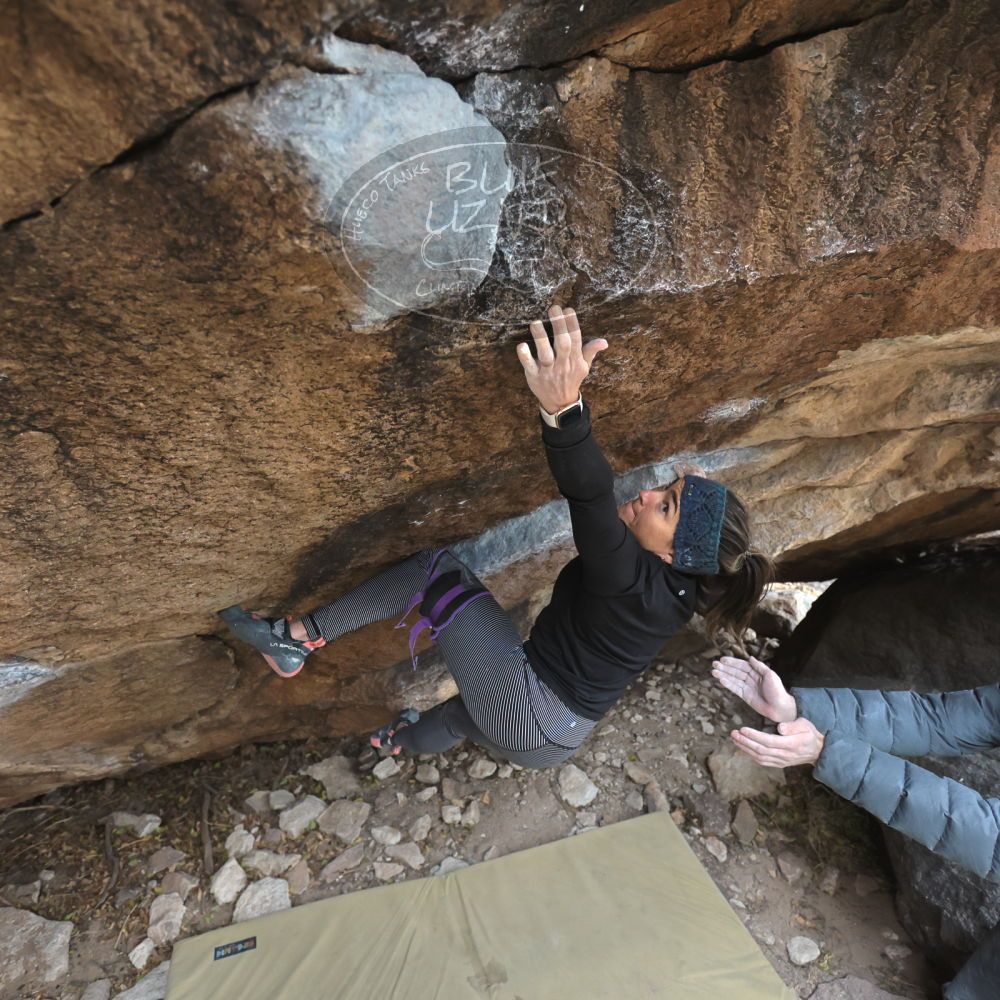 

Filename: SRM_20221228_1156102.jpg
Aperture: f/4.0
Shutter Speed: 1/320
Body: Canon EOS R6
Lens: Canon EF 16-35mm f/2.8 L