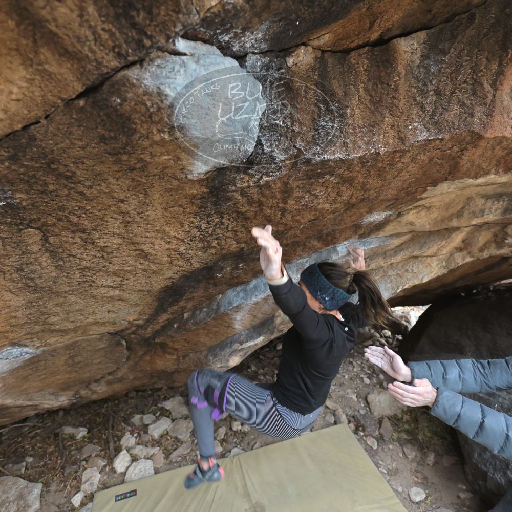 

Filename: SRM_20221228_1156130.jpg
Aperture: f/4.0
Shutter Speed: 1/320
Body: Canon EOS R6
Lens: Canon EF 16-35mm f/2.8 L