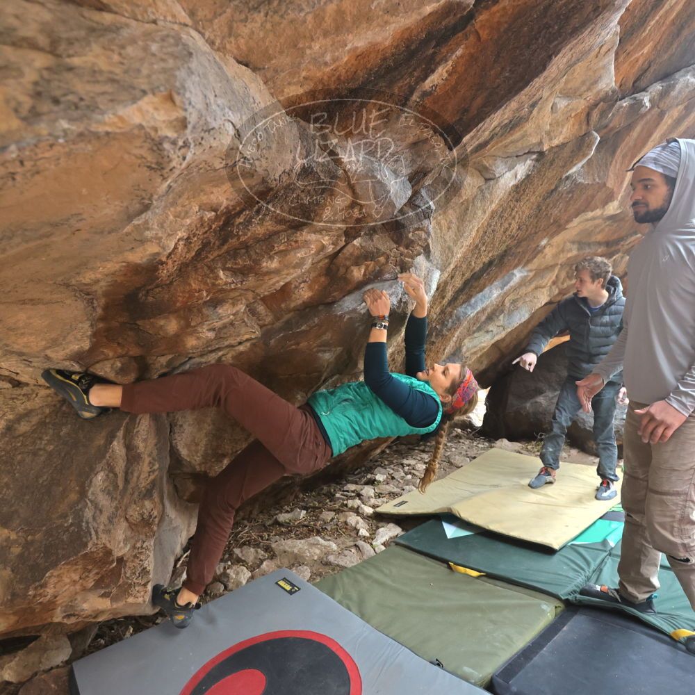 

Filename: SRM_20221228_1200240.jpg
Aperture: f/4.0
Shutter Speed: 1/320
Body: Canon EOS R6
Lens: Canon EF 16-35mm f/2.8 L