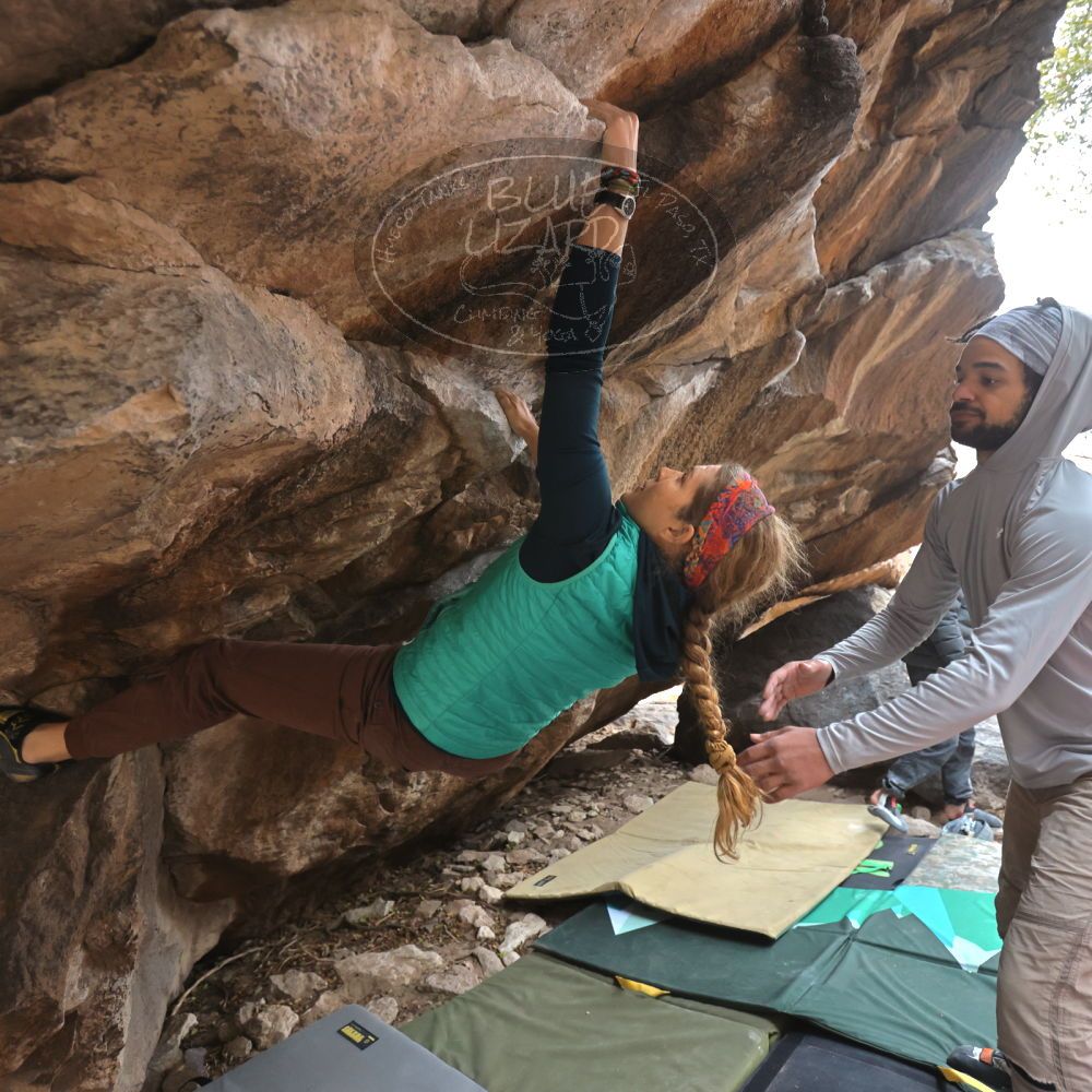 

Filename: SRM_20221228_1200300.jpg
Aperture: f/4.0
Shutter Speed: 1/320
Body: Canon EOS R6
Lens: Canon EF 16-35mm f/2.8 L