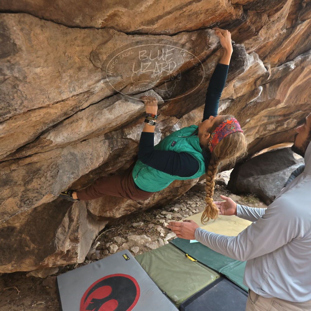 Filename: SRM_20221228_1200380.jpg
Aperture: f/4.0
Shutter Speed: 1/320
Body: Canon EOS R6
Lens: Canon EF 16-35mm f/2.8 L