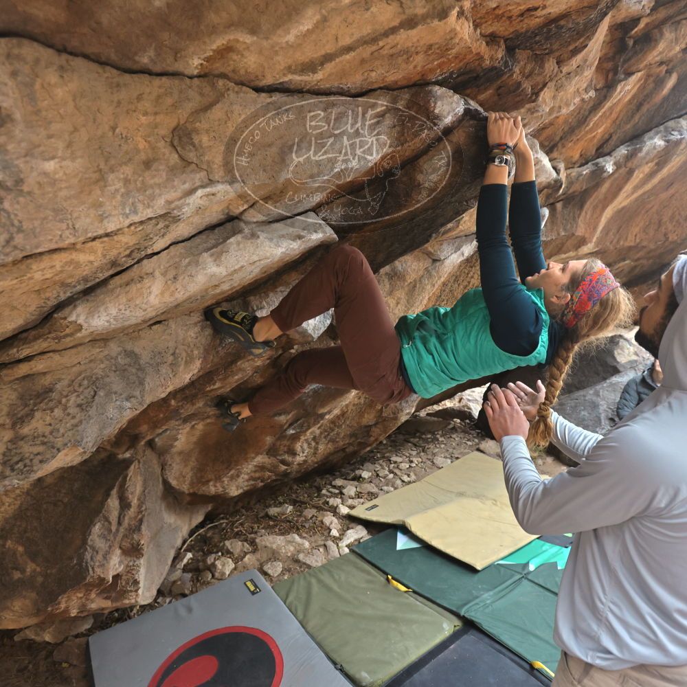 

Filename: SRM_20221228_1200420.jpg
Aperture: f/4.0
Shutter Speed: 1/320
Body: Canon EOS R6
Lens: Canon EF 16-35mm f/2.8 L