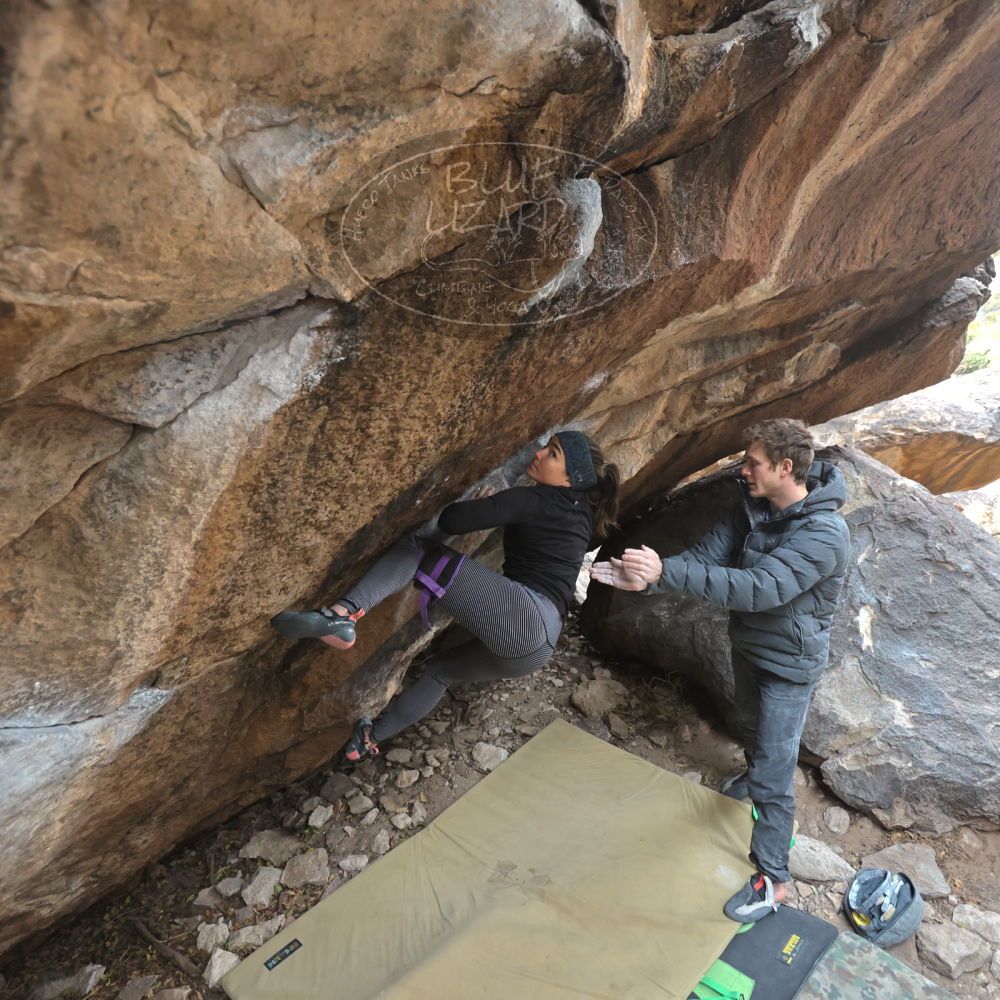 Filename: SRM_20221228_1201420.jpg
Aperture: f/4.0
Shutter Speed: 1/320
Body: Canon EOS R6
Lens: Canon EF 16-35mm f/2.8 L