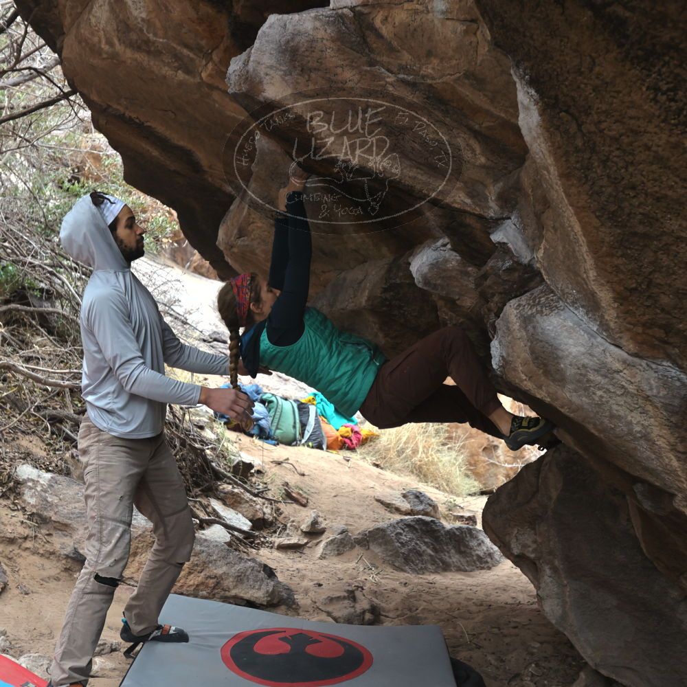 Filename: SRM_20221228_1206020.jpg
Aperture: f/4.0
Shutter Speed: 1/320
Body: Canon EOS R6
Lens: Canon EF 16-35mm f/2.8 L