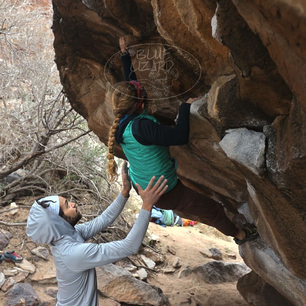 Filename: SRM_20221228_1206350.jpg
Aperture: f/4.0
Shutter Speed: 1/320
Body: Canon EOS R6
Lens: Canon EF 16-35mm f/2.8 L