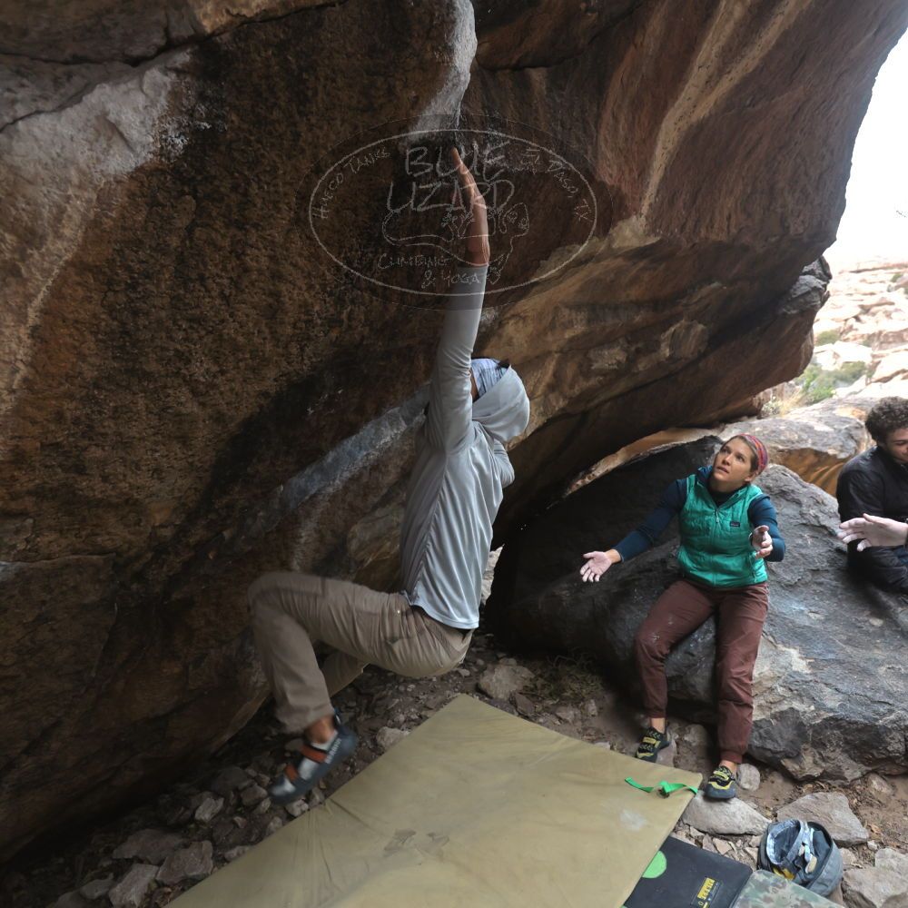 Filename: SRM_20221228_1207420.jpg
Aperture: f/4.0
Shutter Speed: 1/320
Body: Canon EOS R6
Lens: Canon EF 16-35mm f/2.8 L