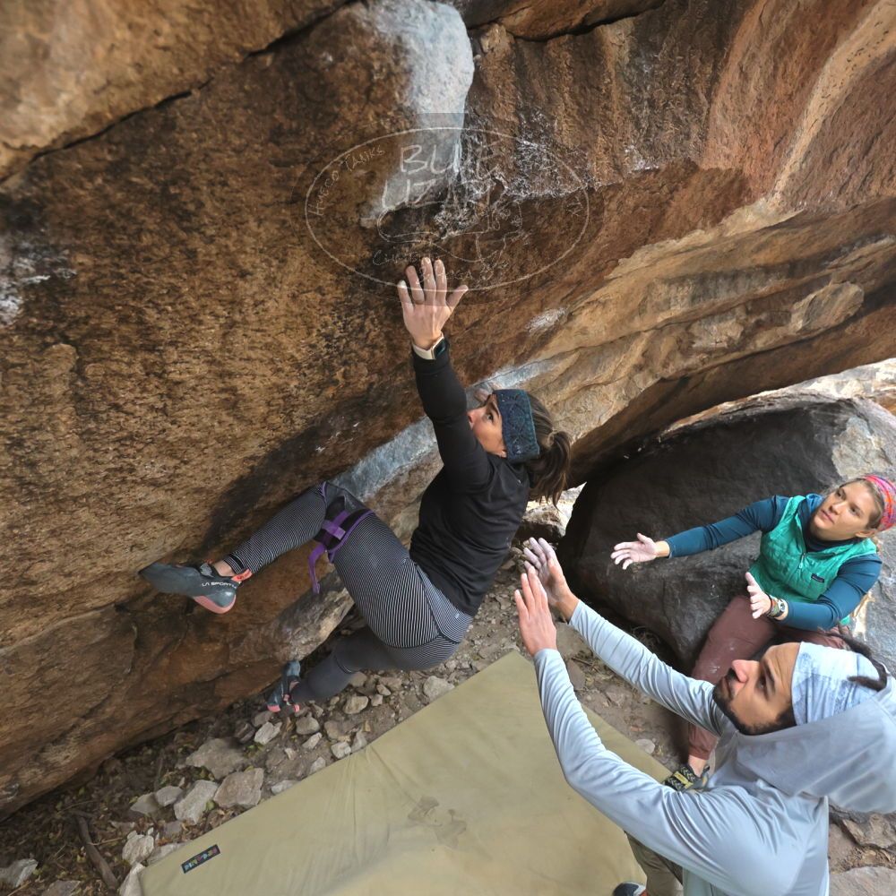 Filename: SRM_20221228_1208281.jpg
Aperture: f/4.0
Shutter Speed: 1/320
Body: Canon EOS R6
Lens: Canon EF 16-35mm f/2.8 L