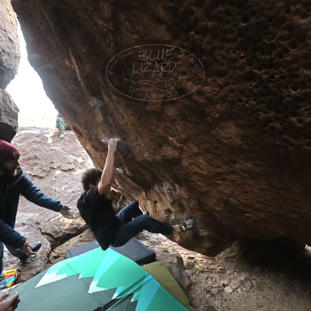 

Filename: SRM_20221228_1238240.jpg
Aperture: f/4.0
Shutter Speed: 1/320
Body: Canon EOS R6
Lens: Canon EF 16-35mm f/2.8 L