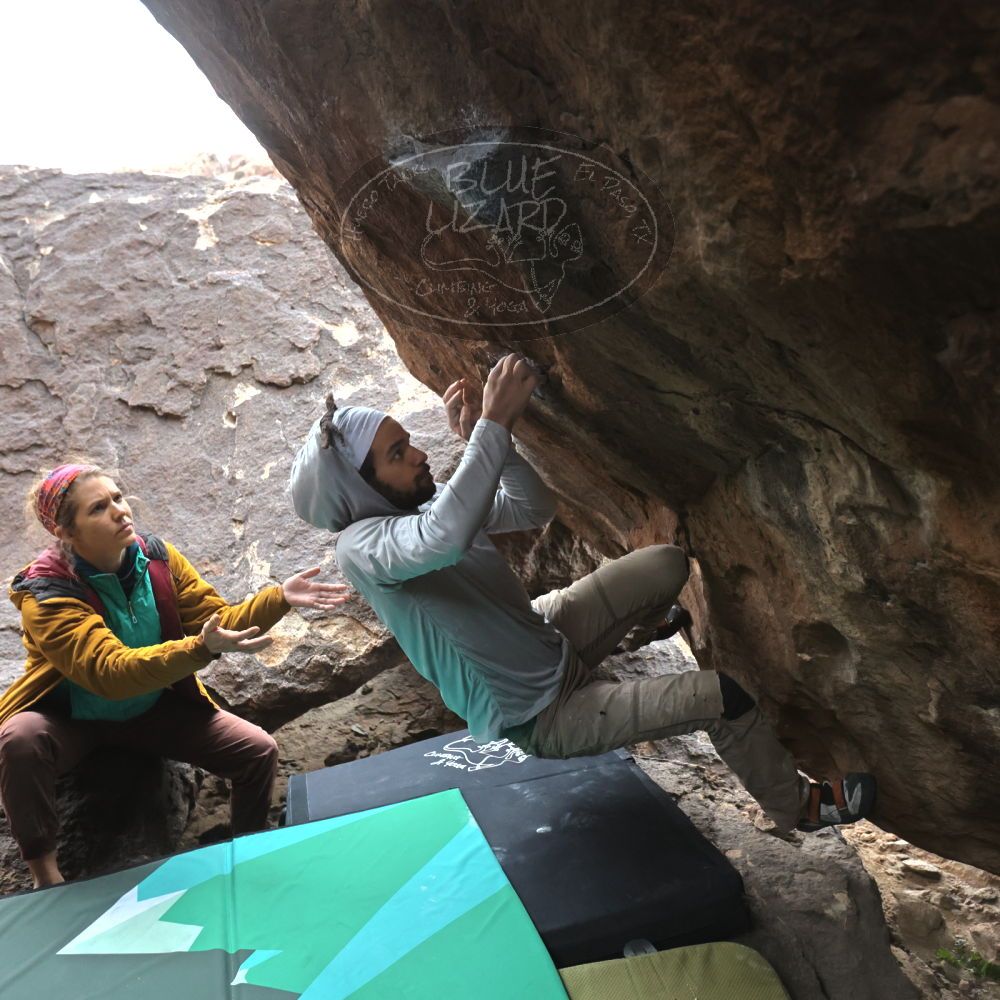 

Filename: SRM_20221228_1253470.jpg
Aperture: f/4.0
Shutter Speed: 1/320
Body: Canon EOS R6
Lens: Canon EF 16-35mm f/2.8 L