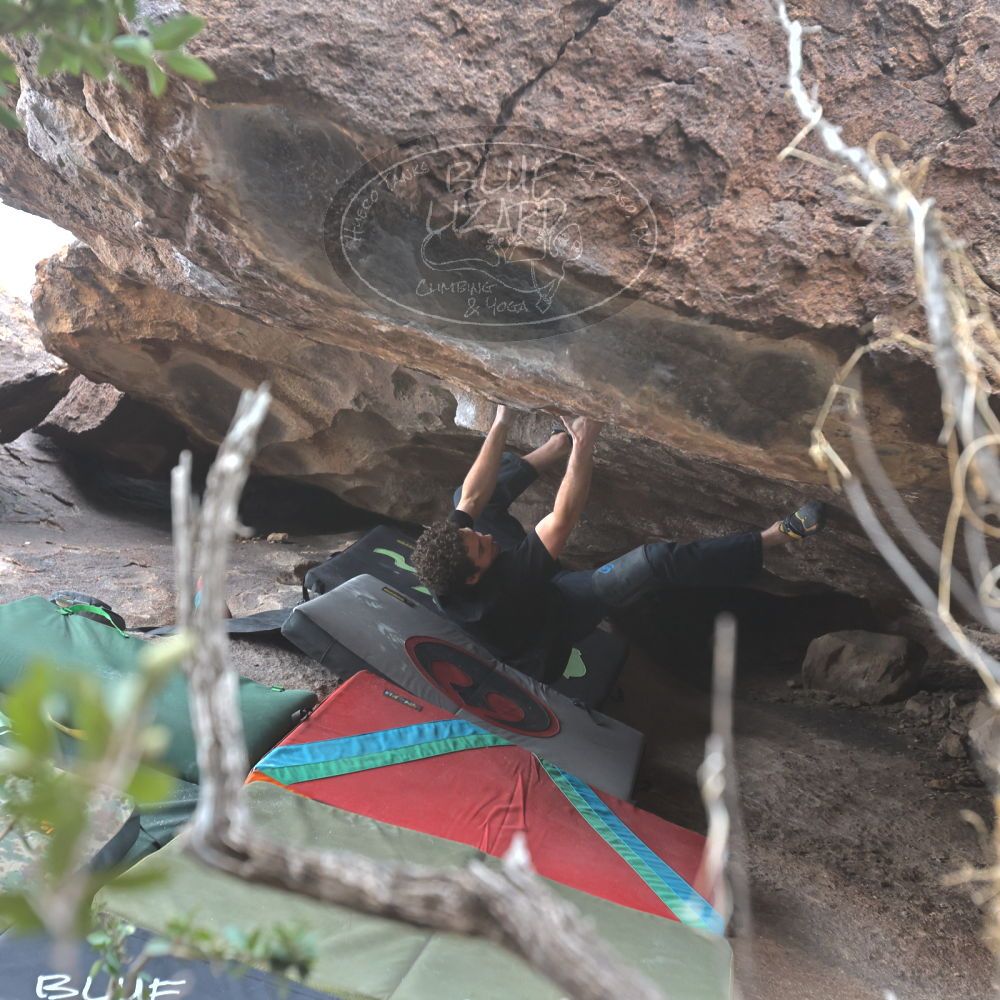 Filename: SRM_20221228_1330420.jpg
Aperture: f/4.0
Shutter Speed: 1/320
Body: Canon EOS R6
Lens: Canon EF 16-35mm f/2.8 L