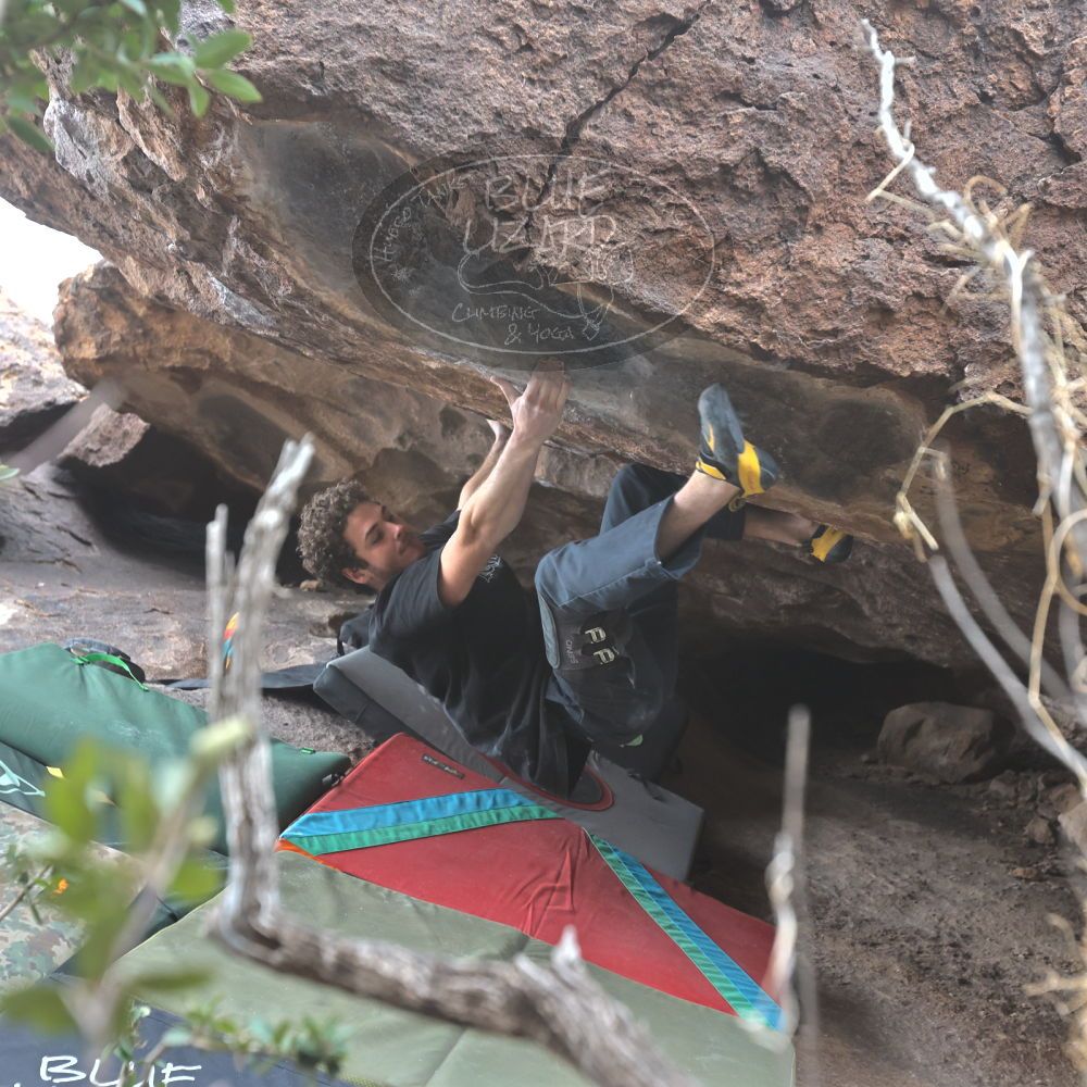 Filename: SRM_20221228_1330530.jpg
Aperture: f/4.0
Shutter Speed: 1/320
Body: Canon EOS R6
Lens: Canon EF 16-35mm f/2.8 L