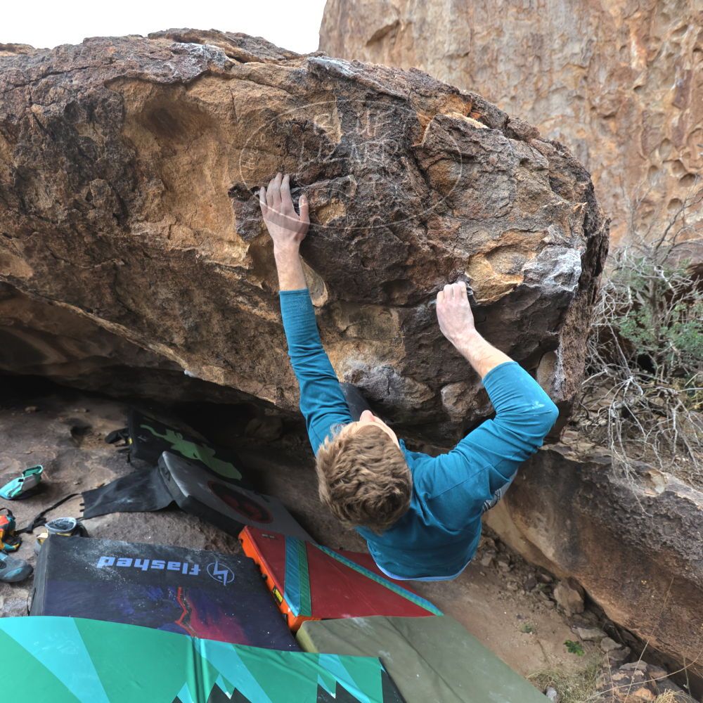 Filename: SRM_20221228_1342060.jpg
Aperture: f/4.0
Shutter Speed: 1/320
Body: Canon EOS R6
Lens: Canon EF 16-35mm f/2.8 L