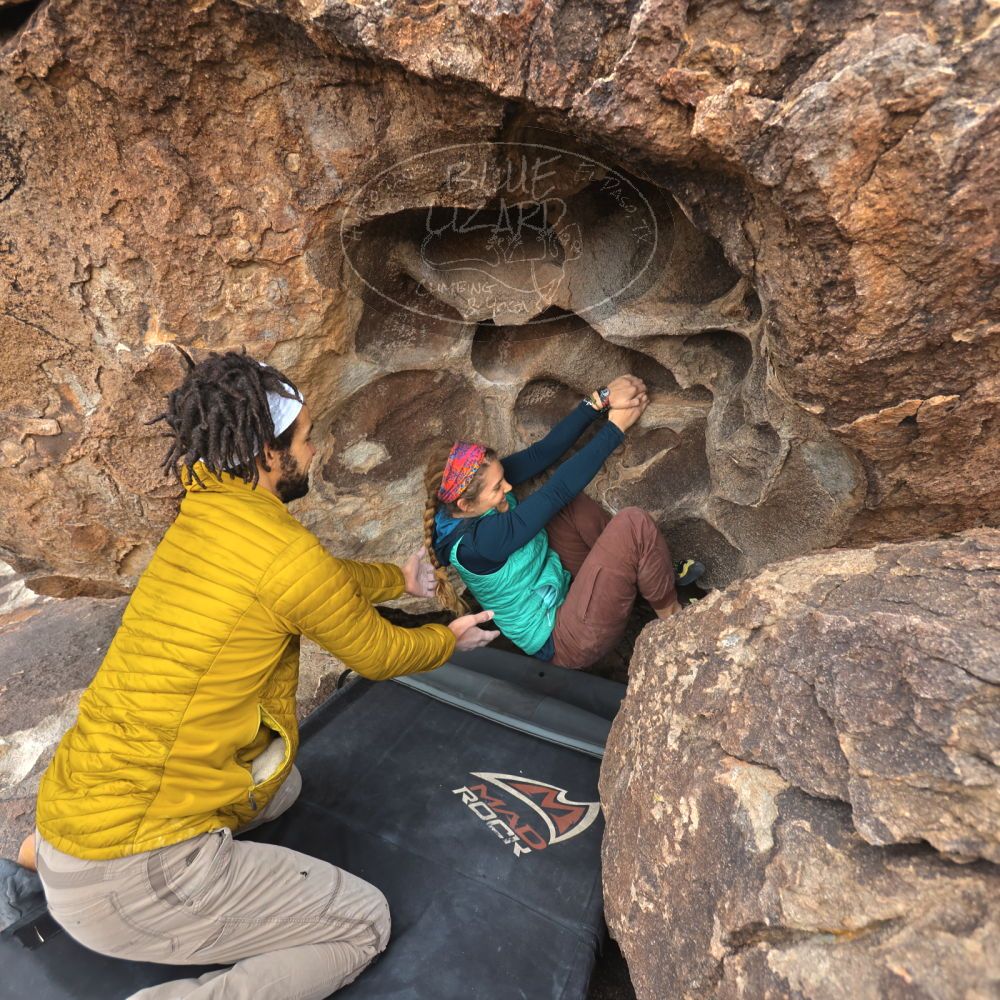 

Filename: SRM_20221228_1402430.jpg
Aperture: f/4.0
Shutter Speed: 1/320
Body: Canon EOS R6
Lens: Canon EF 16-35mm f/2.8 L