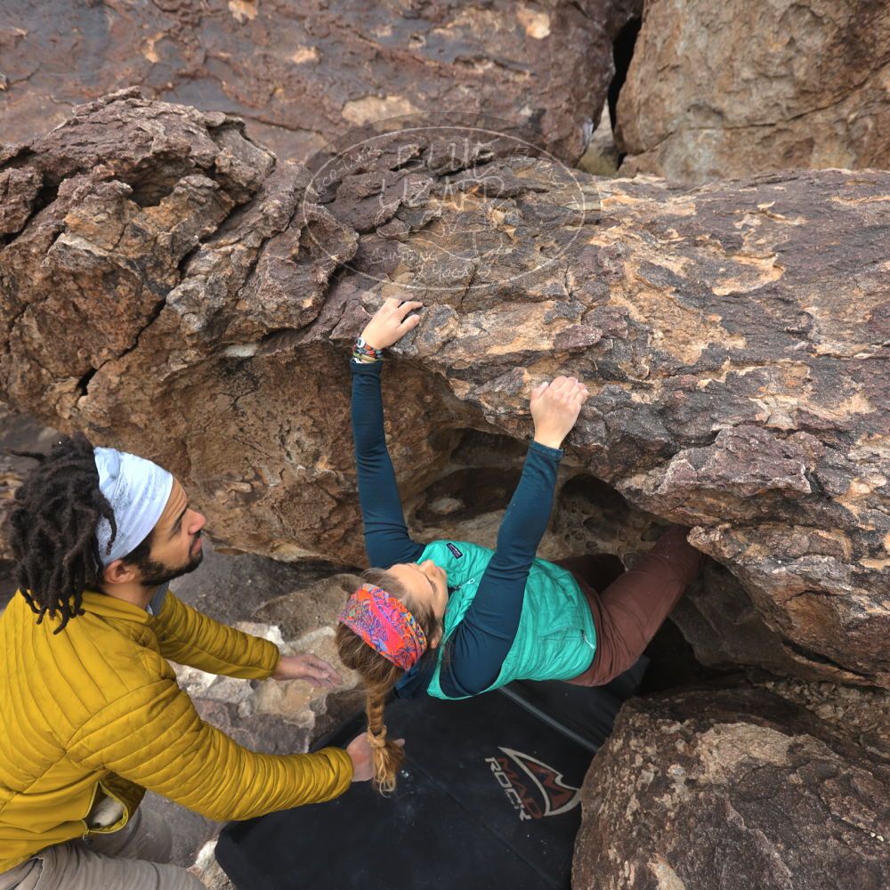 Filename: SRM_20221228_1403560.jpg
Aperture: f/4.0
Shutter Speed: 1/320
Body: Canon EOS R6
Lens: Canon EF 16-35mm f/2.8 L