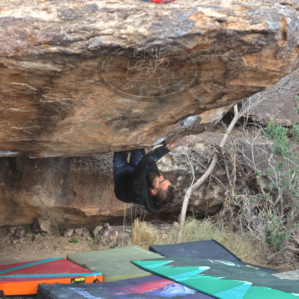 

Filename: SRM_20221228_1404410.jpg
Aperture: f/4.0
Shutter Speed: 1/320
Body: Canon EOS R6
Lens: Canon EF 16-35mm f/2.8 L