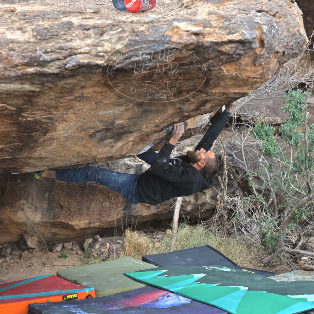 Filename: SRM_20221228_1404470.jpg
Aperture: f/4.0
Shutter Speed: 1/320
Body: Canon EOS R6
Lens: Canon EF 16-35mm f/2.8 L