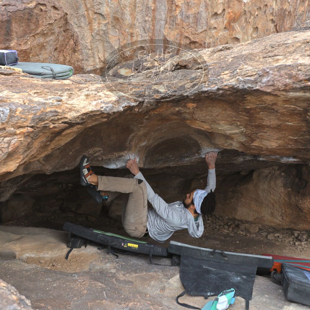 

Filename: SRM_20221228_1411160.jpg
Aperture: f/4.0
Shutter Speed: 1/320
Body: Canon EOS R6
Lens: Canon EF 16-35mm f/2.8 L