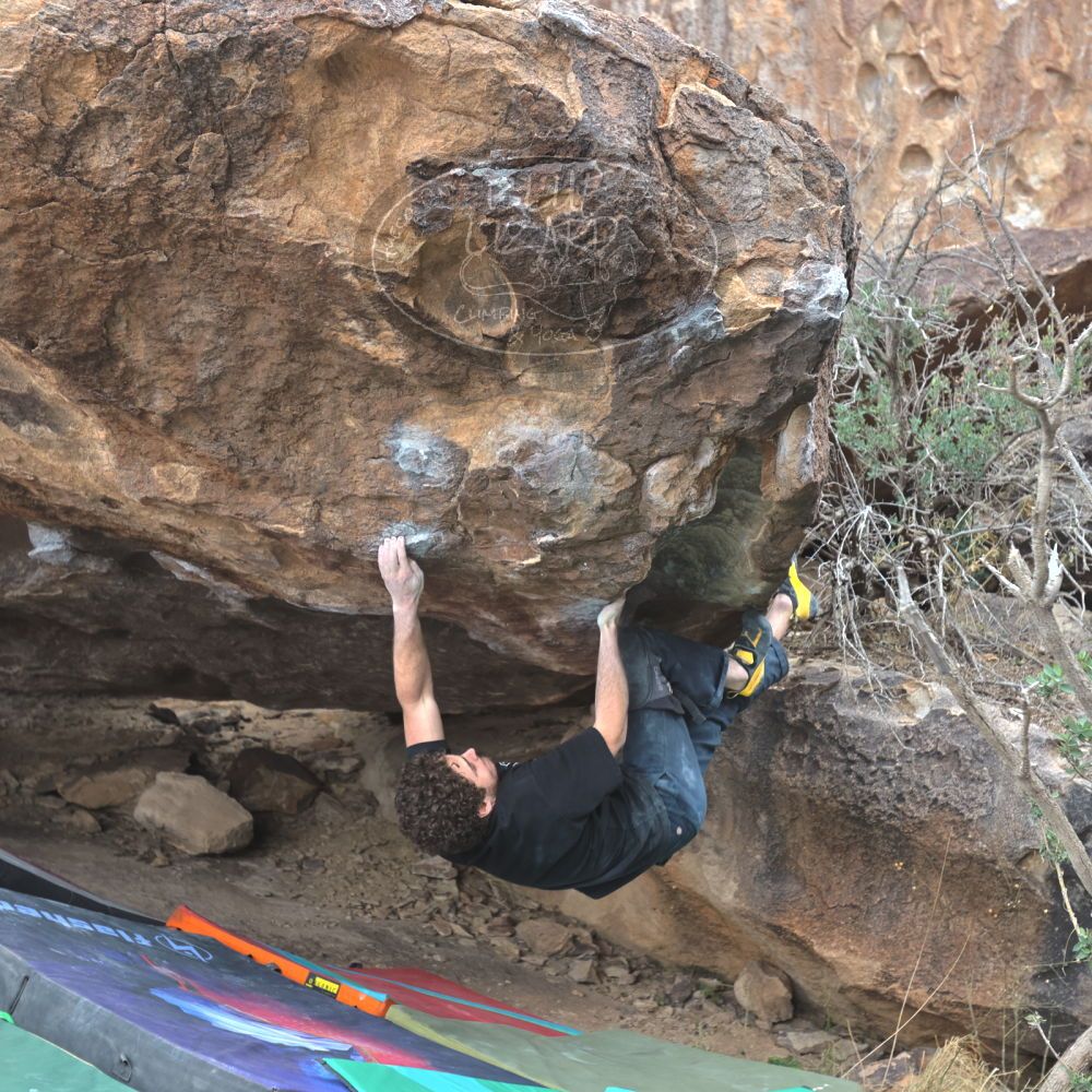 

Filename: SRM_20221228_1418400.jpg
Aperture: f/4.0
Shutter Speed: 1/320
Body: Canon EOS R6
Lens: Canon EF 16-35mm f/2.8 L