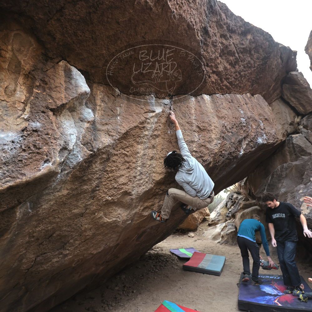 Filename: SRM_20221228_1503090.jpg
Aperture: f/4.0
Shutter Speed: 1/320
Body: Canon EOS R6
Lens: Canon EF 16-35mm f/2.8 L