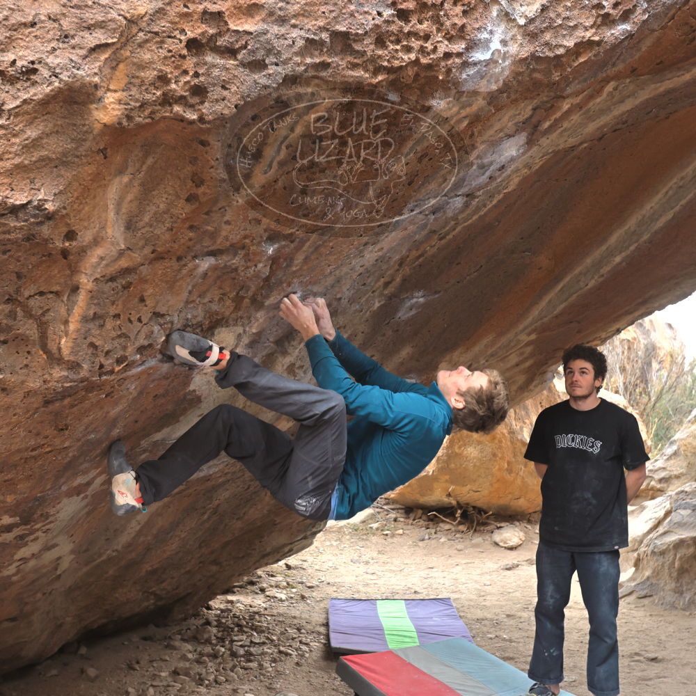 

Filename: SRM_20221228_1508500.jpg
Aperture: f/4.0
Shutter Speed: 1/320
Body: Canon EOS R6
Lens: Canon EF 16-35mm f/2.8 L