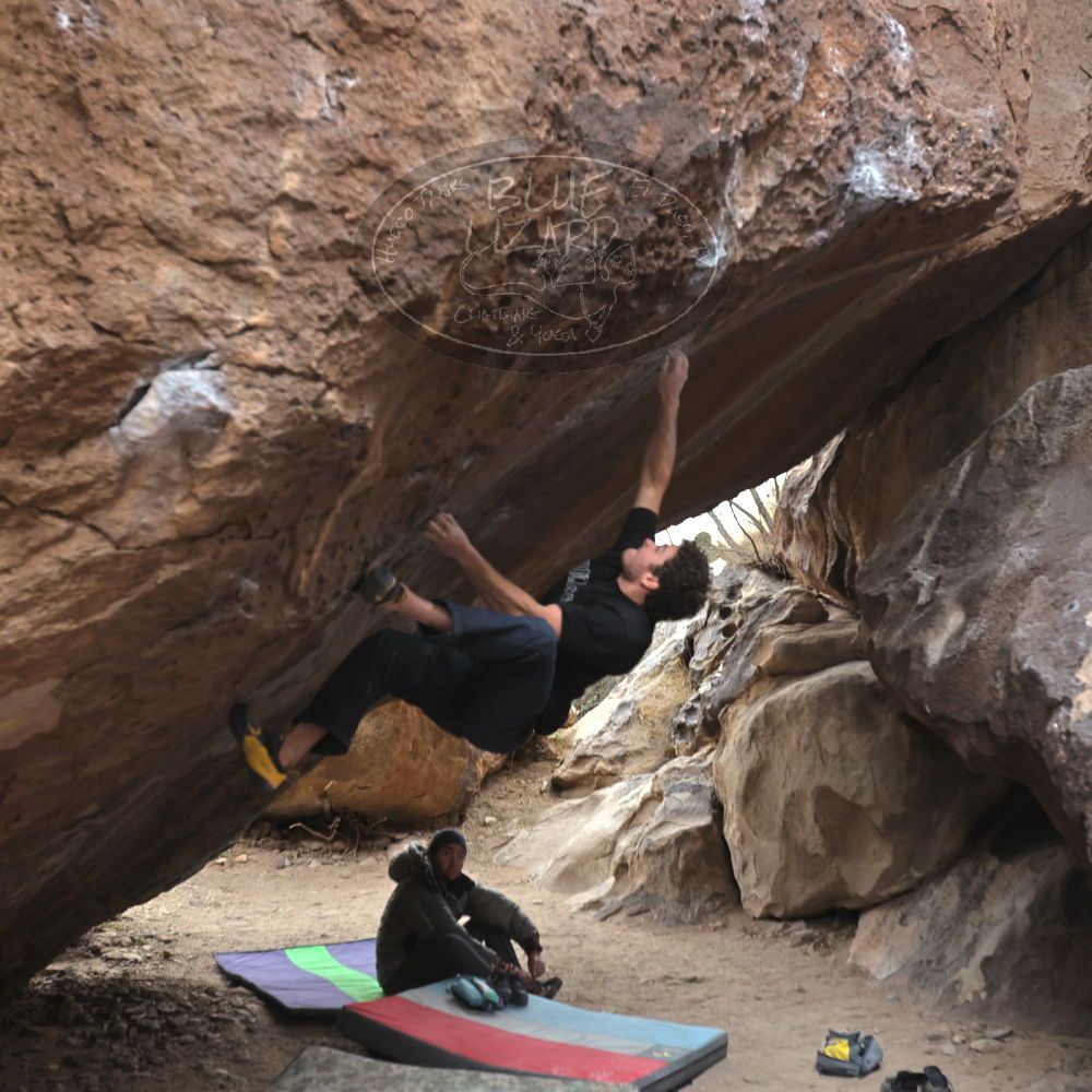 

Filename: SRM_20221228_1509460.jpg
Aperture: f/4.0
Shutter Speed: 1/320
Body: Canon EOS R6
Lens: Canon EF 16-35mm f/2.8 L