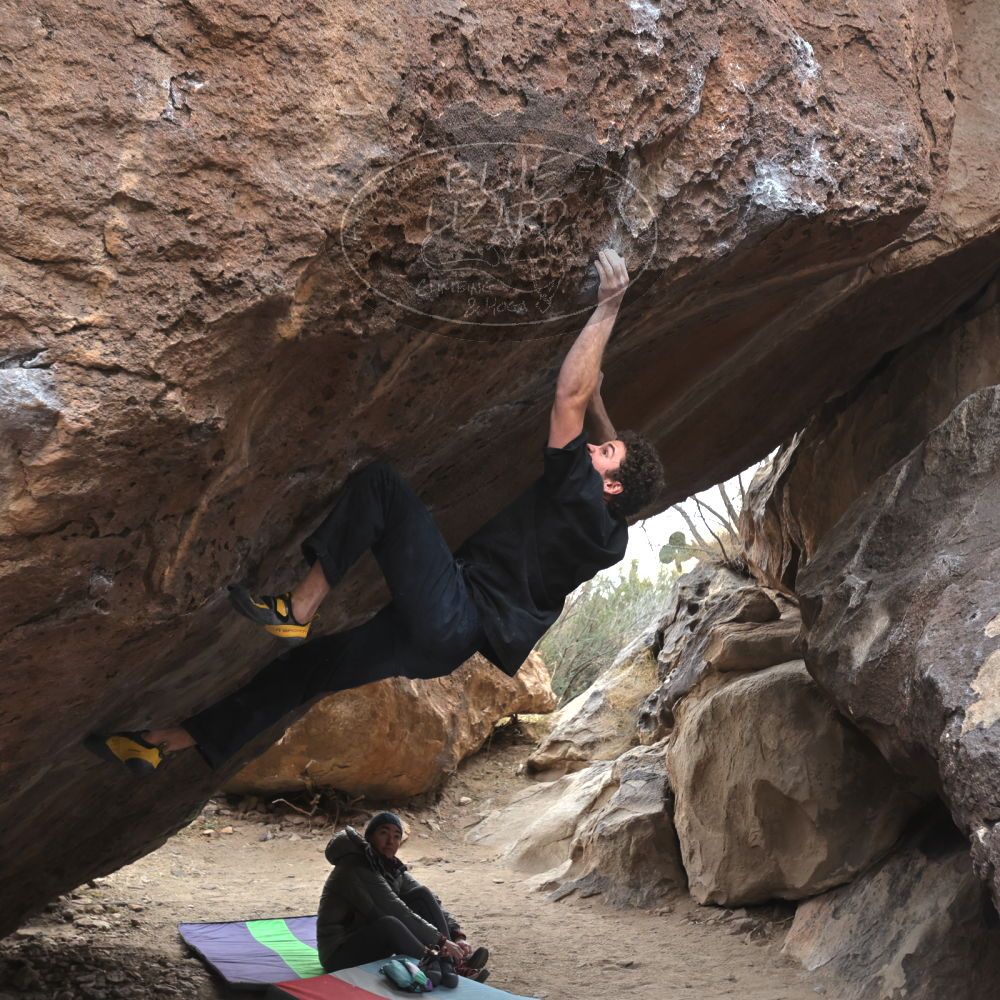 

Filename: SRM_20221228_1509500.jpg
Aperture: f/4.0
Shutter Speed: 1/320
Body: Canon EOS R6
Lens: Canon EF 16-35mm f/2.8 L