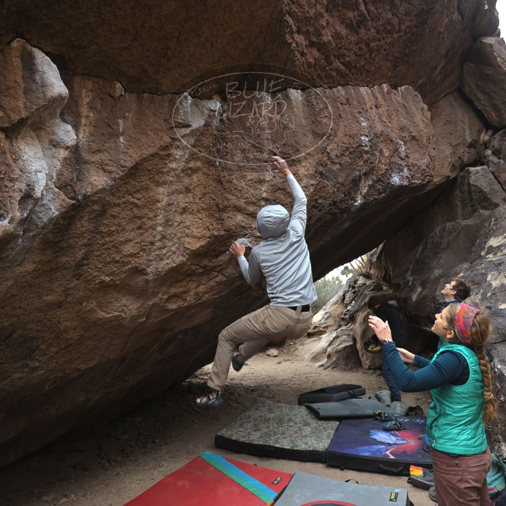 Filename: SRM_20221228_1516340.jpg
Aperture: f/4.0
Shutter Speed: 1/320
Body: Canon EOS R6
Lens: Canon EF 16-35mm f/2.8 L