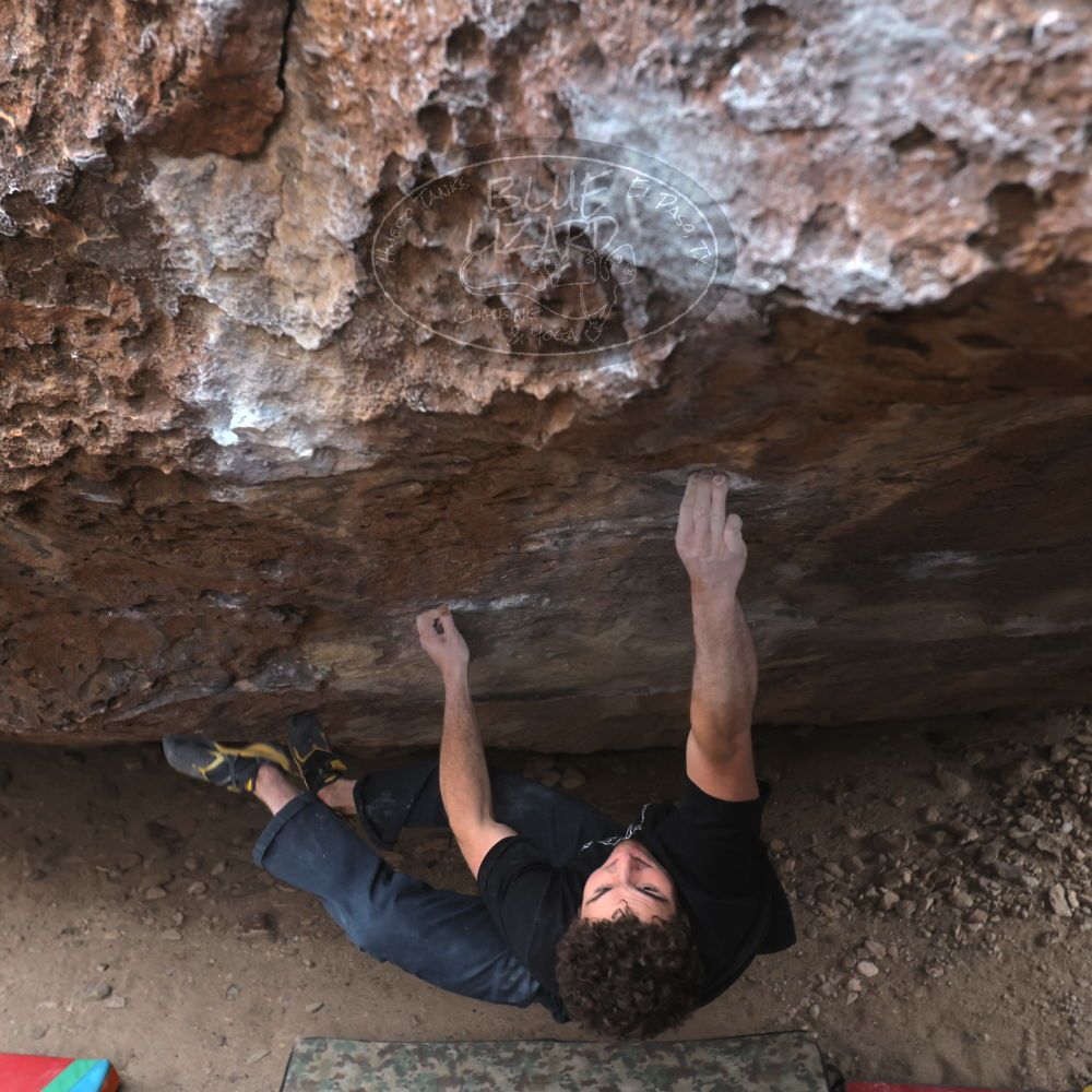 Filename: SRM_20221228_1532172.jpg
Aperture: f/4.0
Shutter Speed: 1/320
Body: Canon EOS R6
Lens: Canon EF 16-35mm f/2.8 L