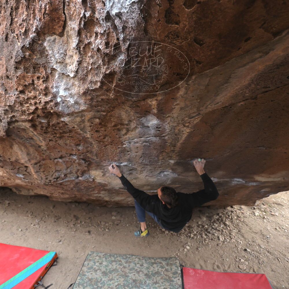 

Filename: SRM_20221228_1537120.jpg
Aperture: f/4.0
Shutter Speed: 1/320
Body: Canon EOS R6
Lens: Canon EF 16-35mm f/2.8 L