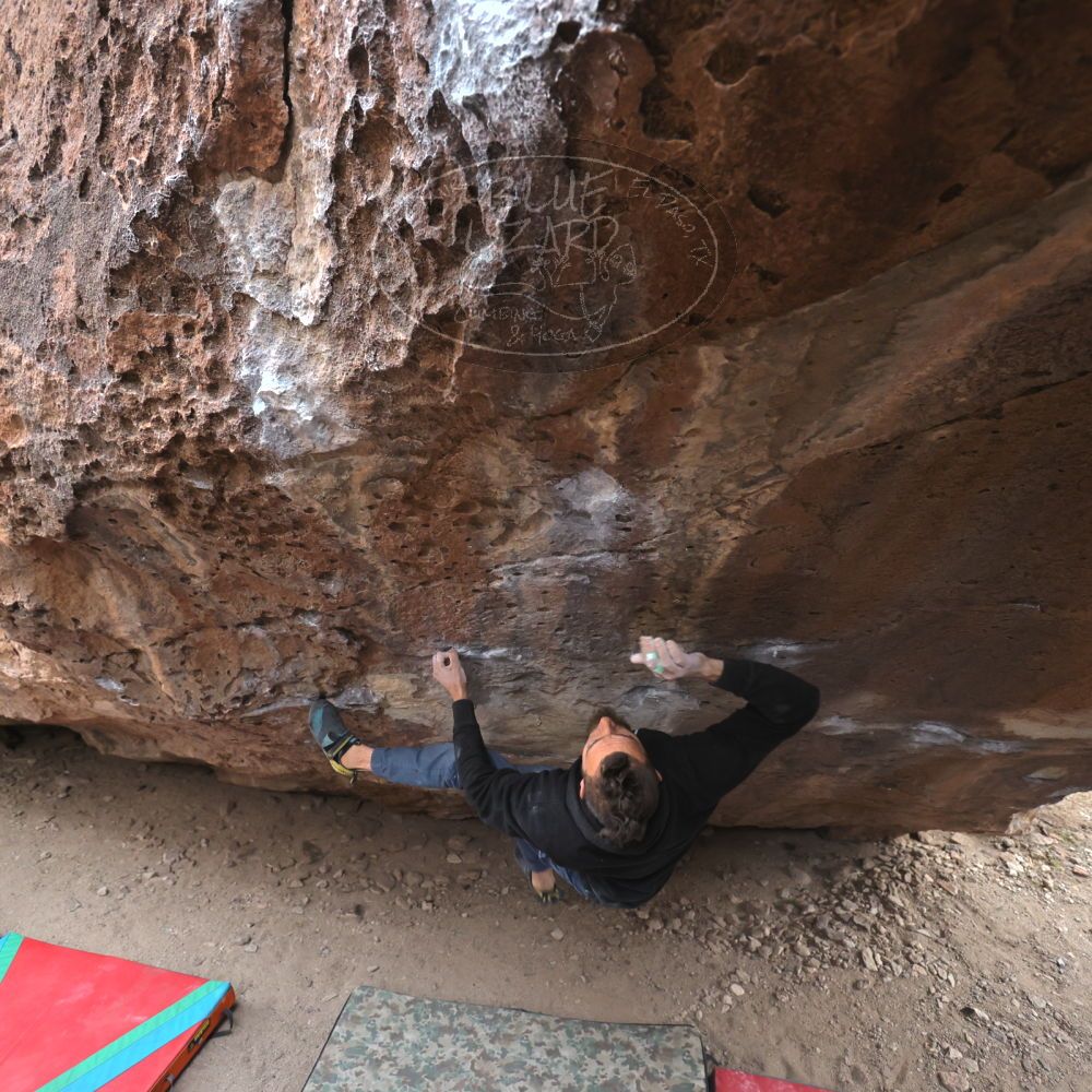 Filename: SRM_20221228_1539000.jpg
Aperture: f/4.0
Shutter Speed: 1/320
Body: Canon EOS R6
Lens: Canon EF 16-35mm f/2.8 L