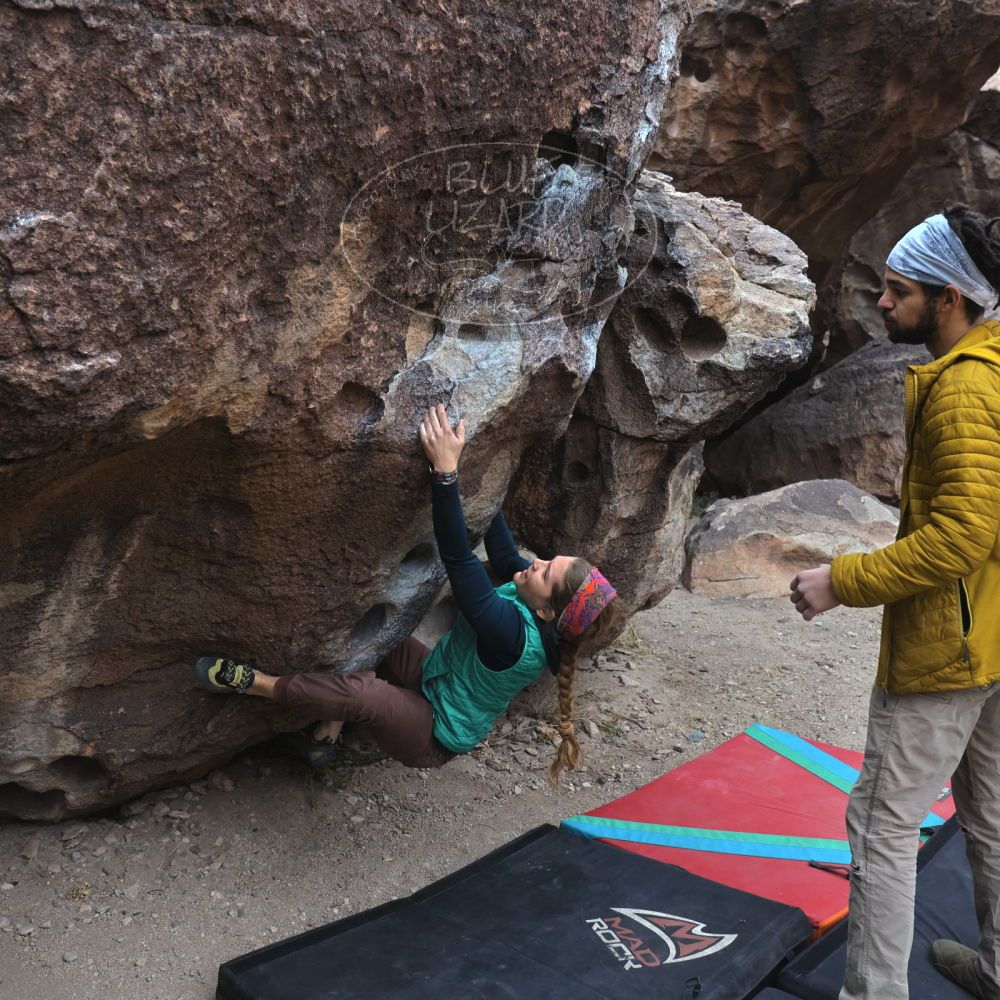 Filename: SRM_20221228_1557470.jpg
Aperture: f/4.0
Shutter Speed: 1/320
Body: Canon EOS R6
Lens: Canon EF 16-35mm f/2.8 L