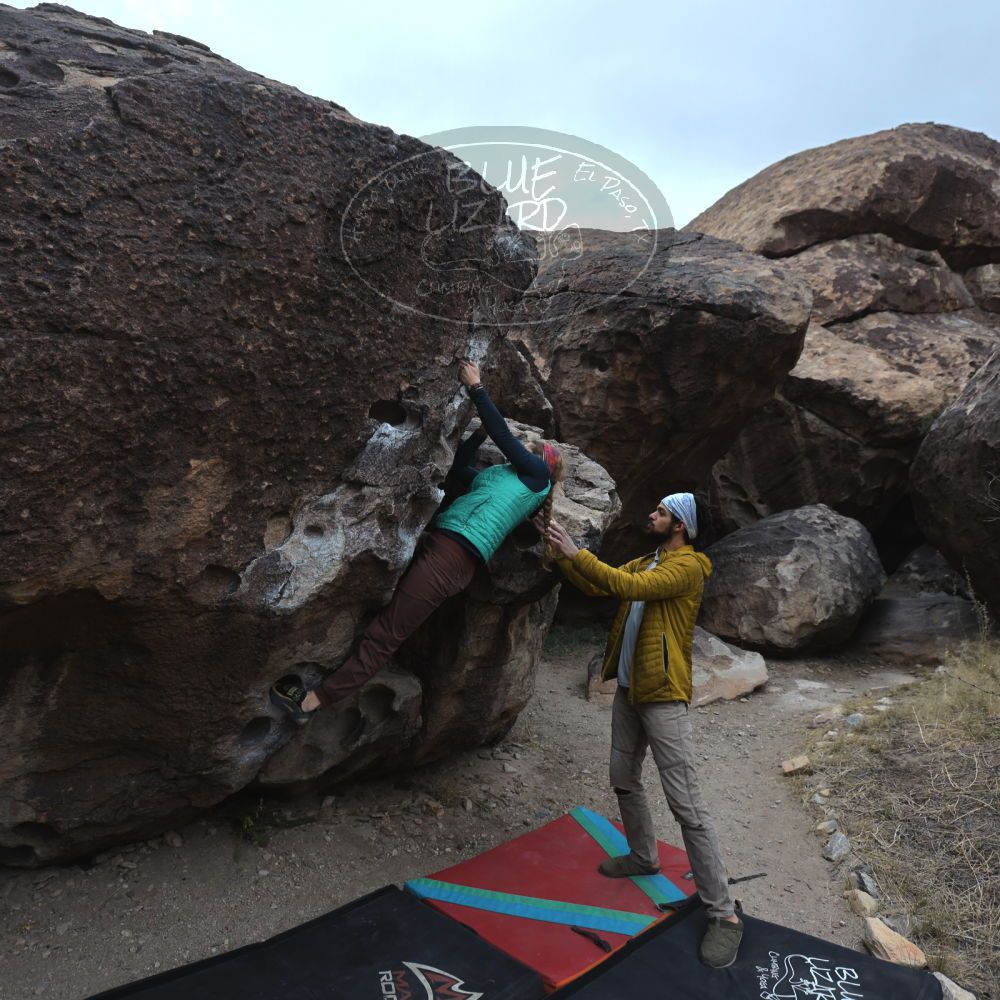 Filename: SRM_20221228_1558230.jpg
Aperture: f/4.0
Shutter Speed: 1/320
Body: Canon EOS R6
Lens: Canon EF 16-35mm f/2.8 L