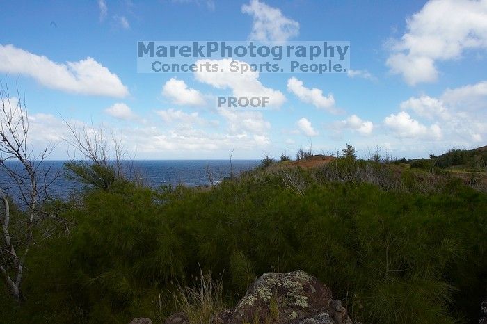 Hike to the Nakalele blowholes along the surf-beaten lava formations.
Filename: SRM_20071219_1316268.jpg
Aperture: f/10.0
Shutter Speed: 1/500
Body: Canon EOS-1D Mark II
Lens: Sigma 15-30mm f/3.5-4.5 EX Aspherical DG DF